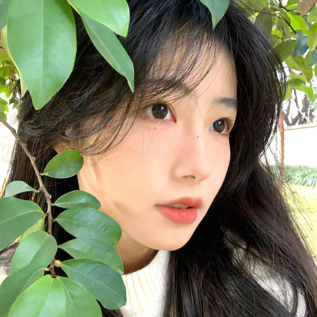 老木的秘密